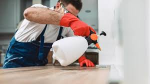 Best Residential Pest Control  in Franklinton, LA